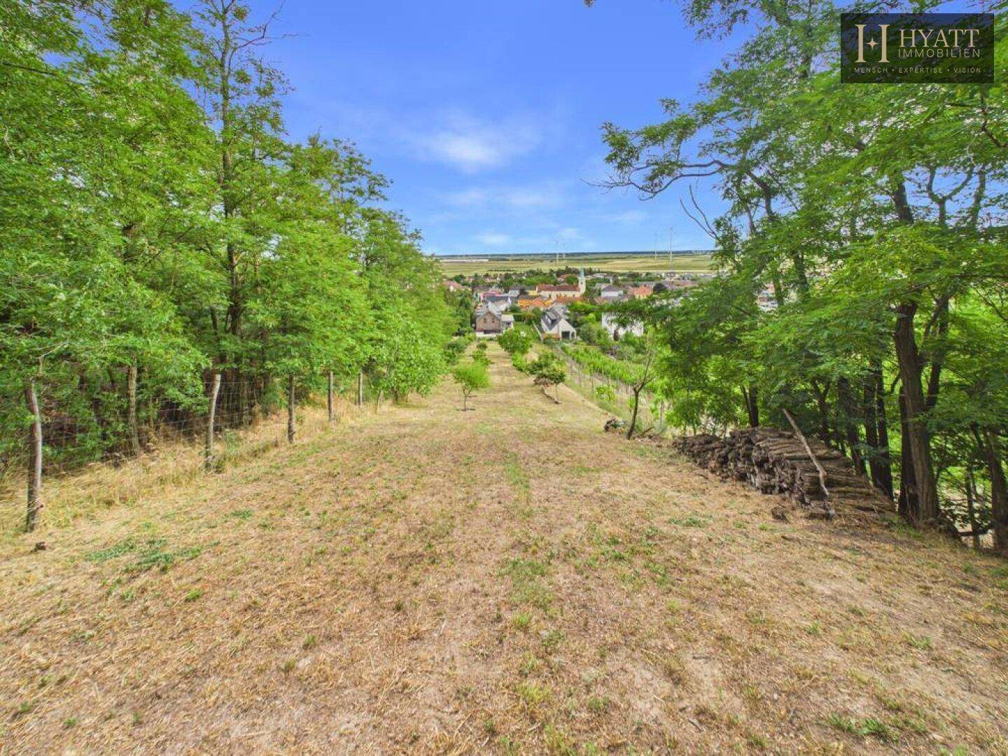 Weitläufige Landschaft mit Blick auf ein Dorf und Weinberge in der Ferne.