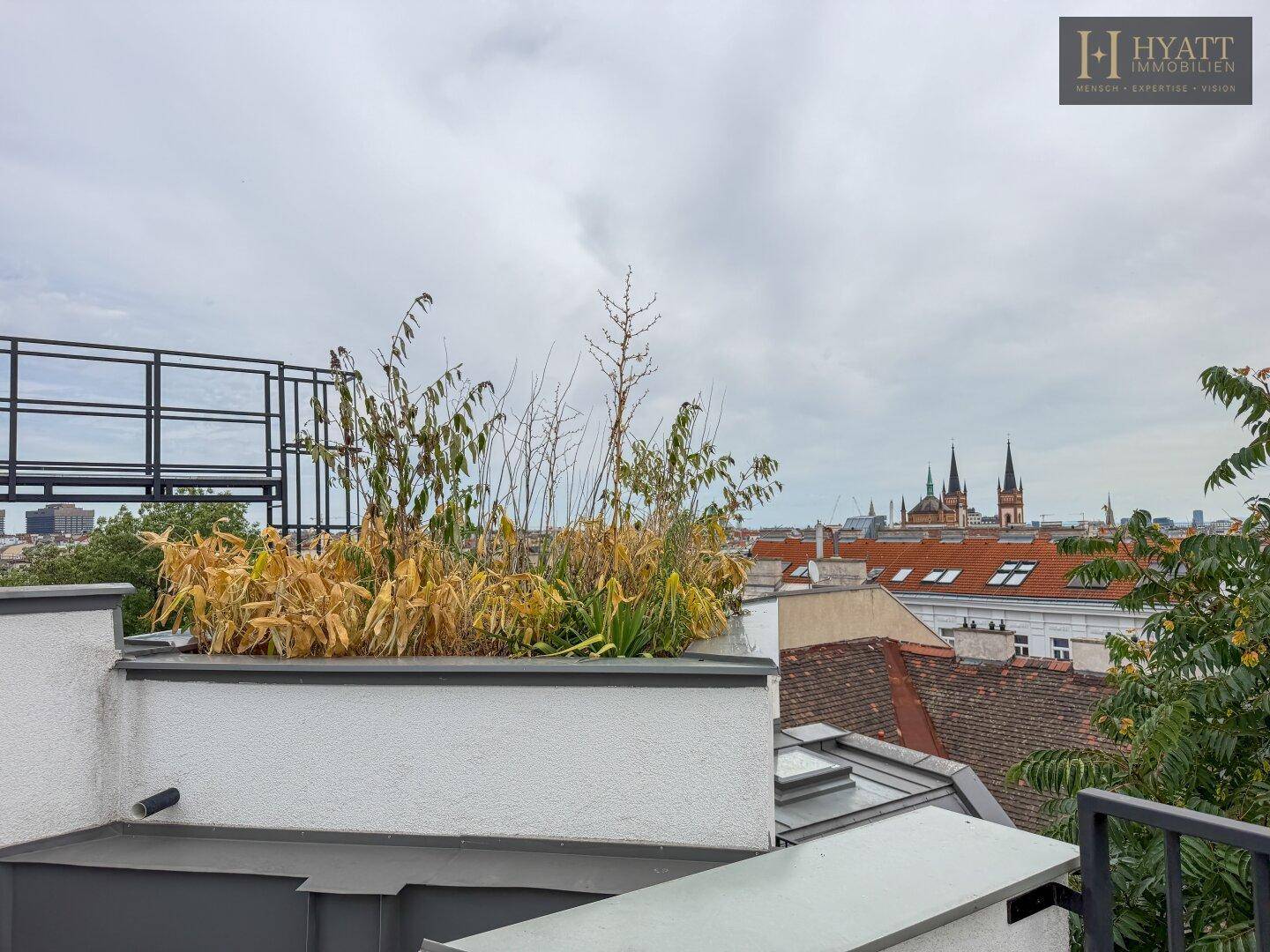 Dachterrasse mit Bepflanzung und Panoramablick auf die Stadt mit markanten Kirchtürmen.