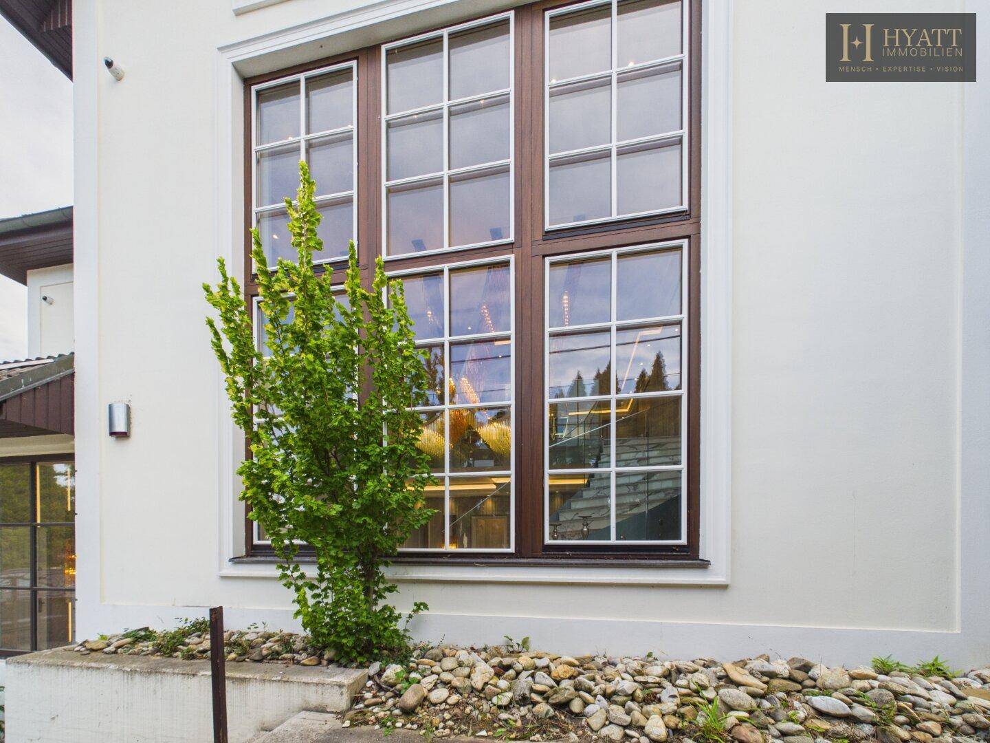 Detailansicht eines großen Fensters mit Sprossen und einem kleinen Baum im Vorgarten.