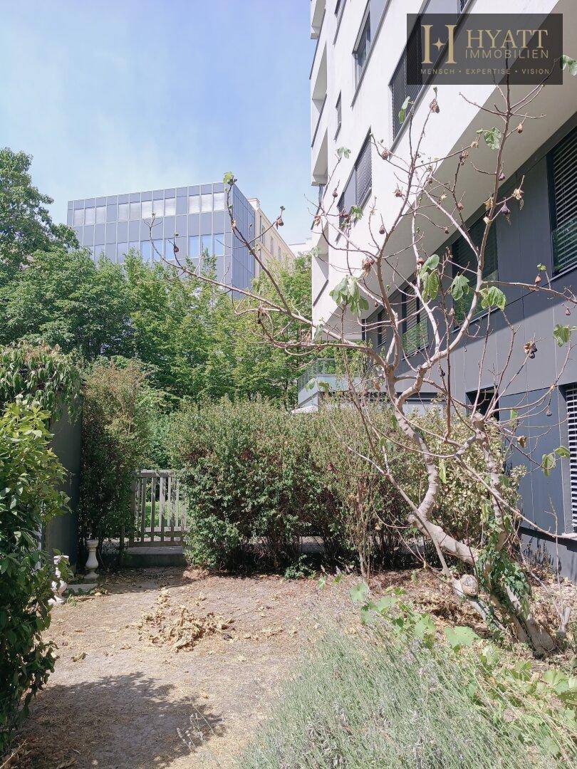 Naturbelassener Gartenbereich mit üppiger Vegetation und einem kleinen Holztor.