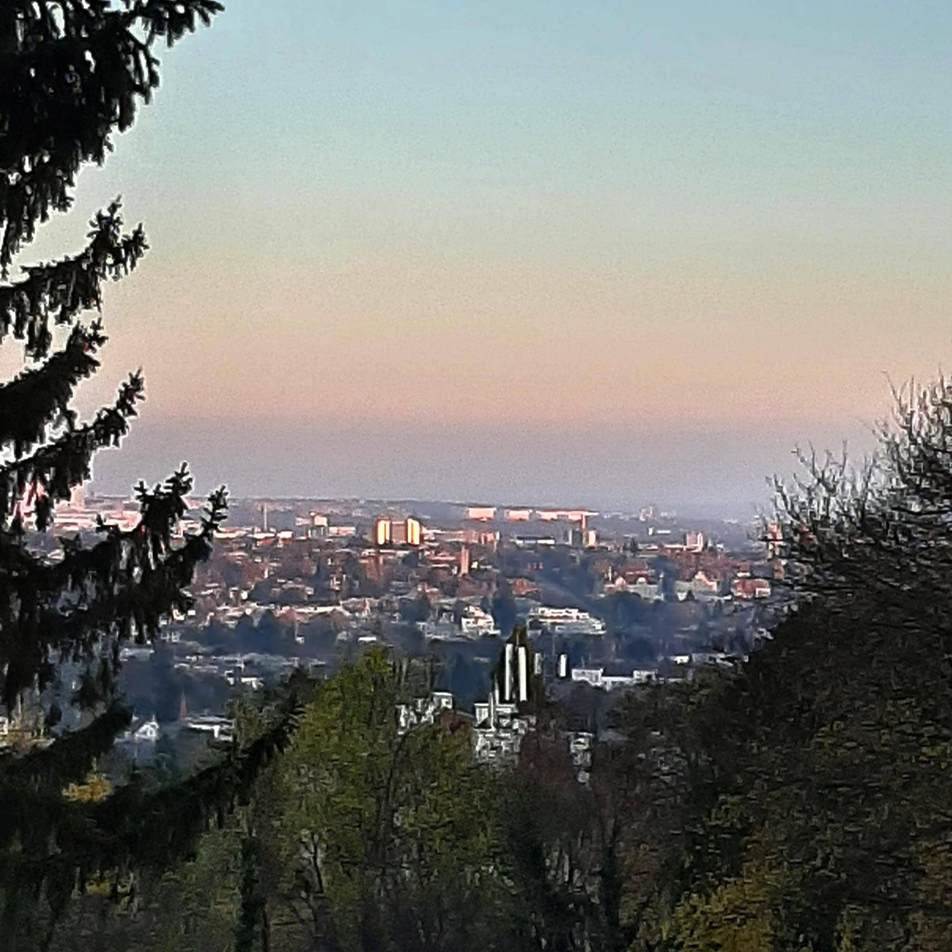 Panoramablick über die Stadt bei Sonnenuntergang, umrahmt von dunklen Baumkonturen.