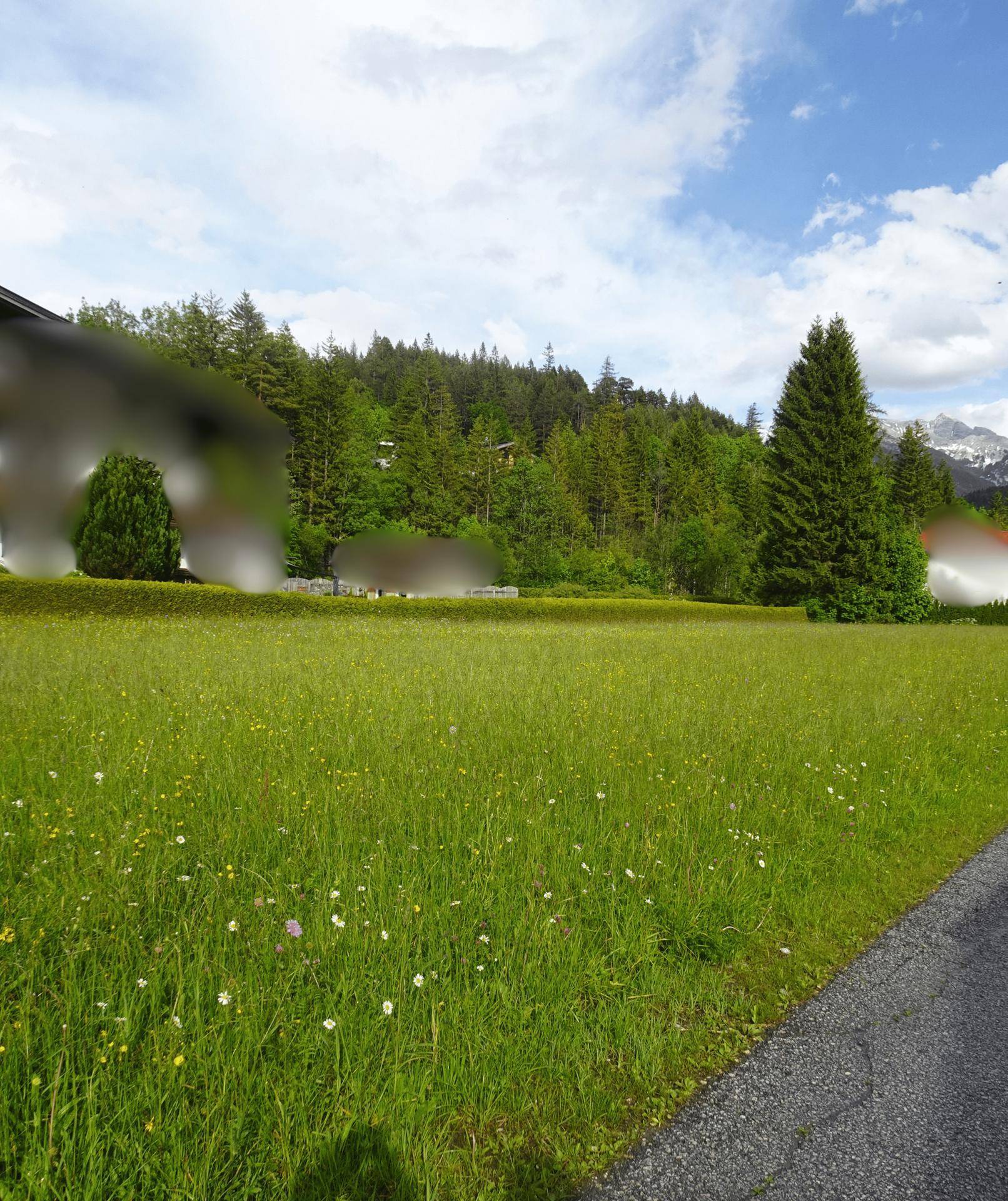 Blumenwiese mit Blick auf bewaldete Berge und einen schneebedeckten Gipfel unter blauem Himmel.