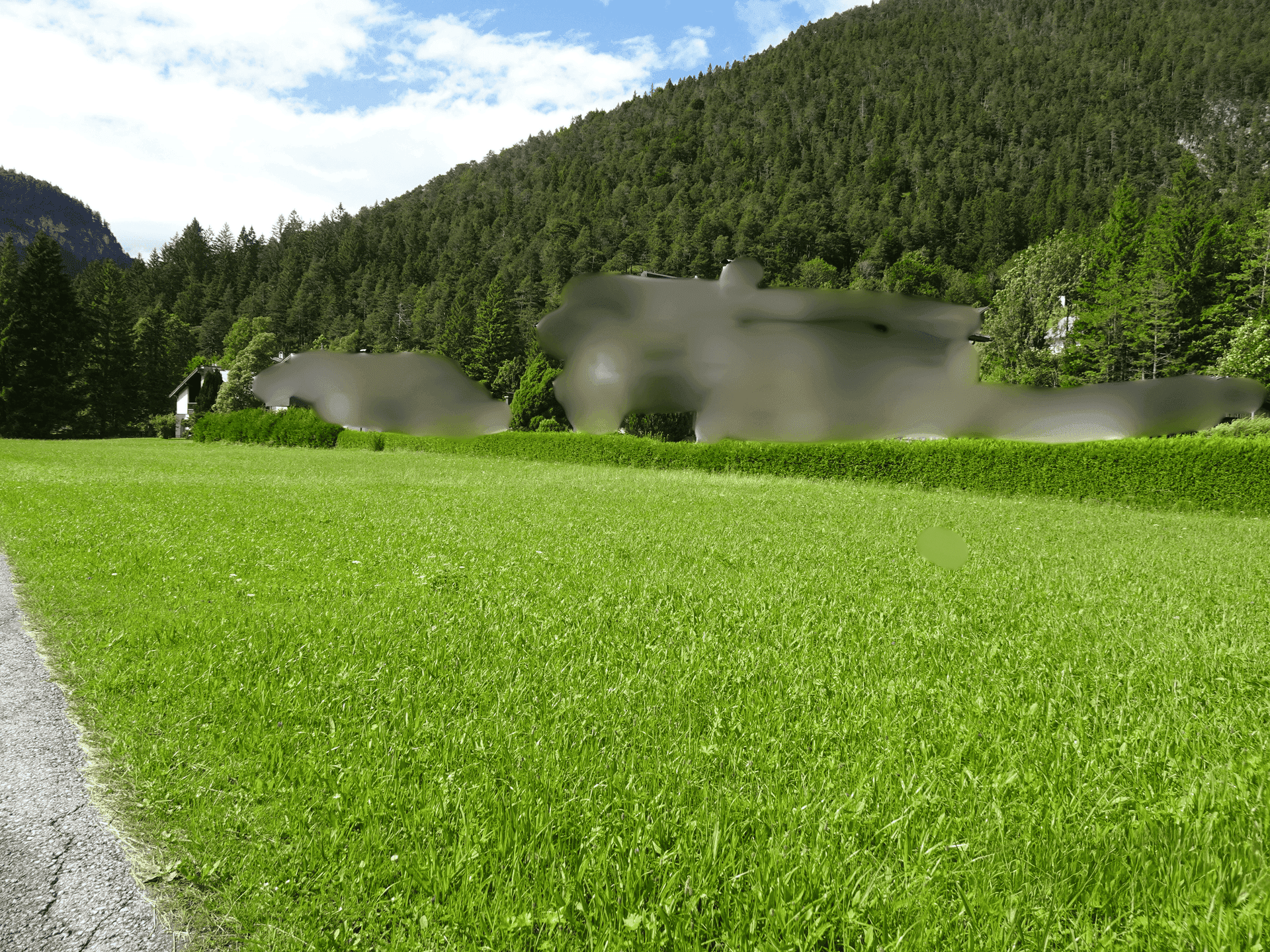 Gepflegte Rasenfläche mit Hecke und bewaldeter Berglandschaft im Hintergrund unter hellem Himmel.