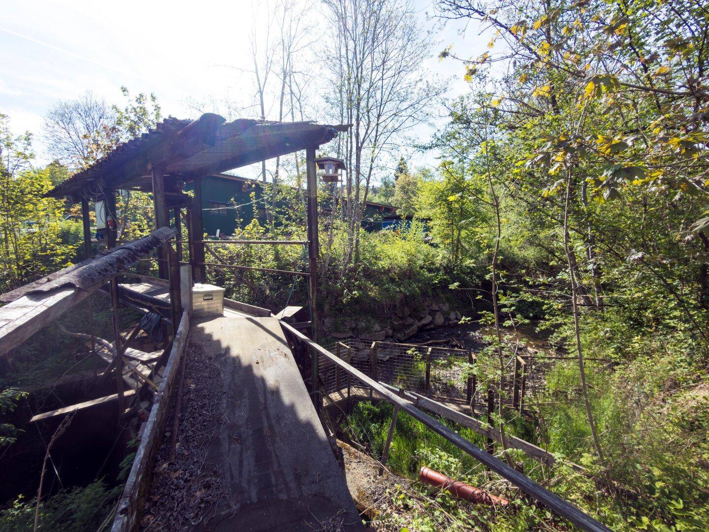 Rustikale Holzbrücke oder Überführung über einen Graben, umgeben von dichter Vegetation.