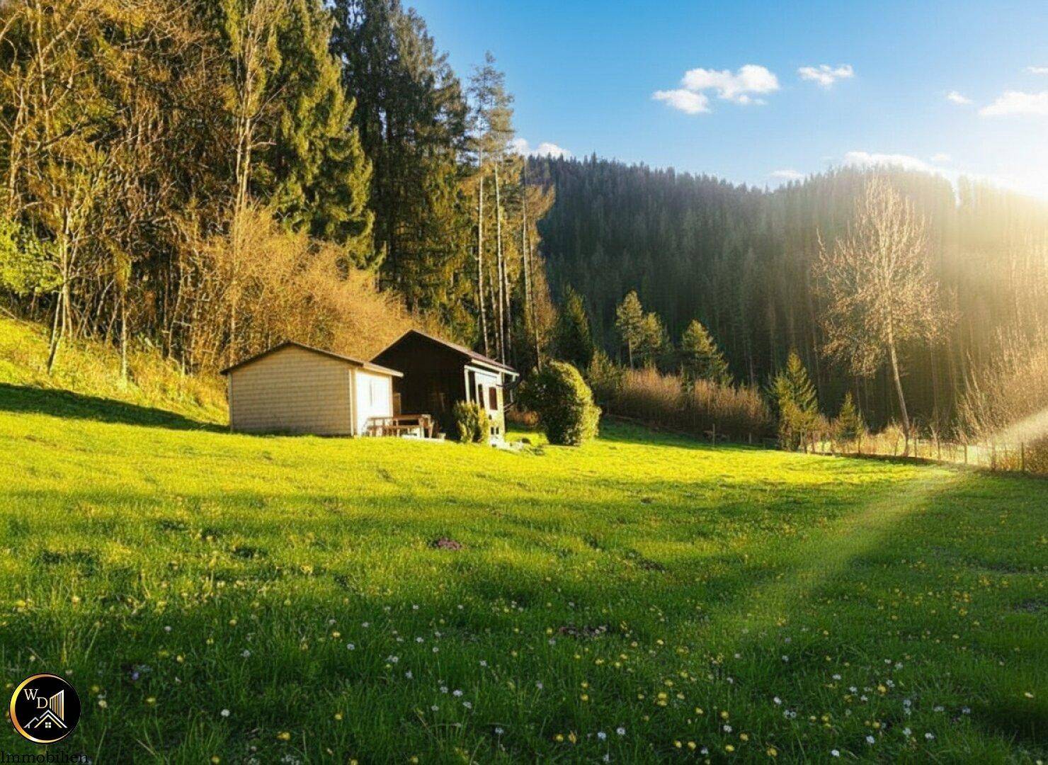 Ein kleines Holzhaus und ein Schuppen stehen idyllisch auf einer grünen Wiese am Waldrand im Sonnenlicht.