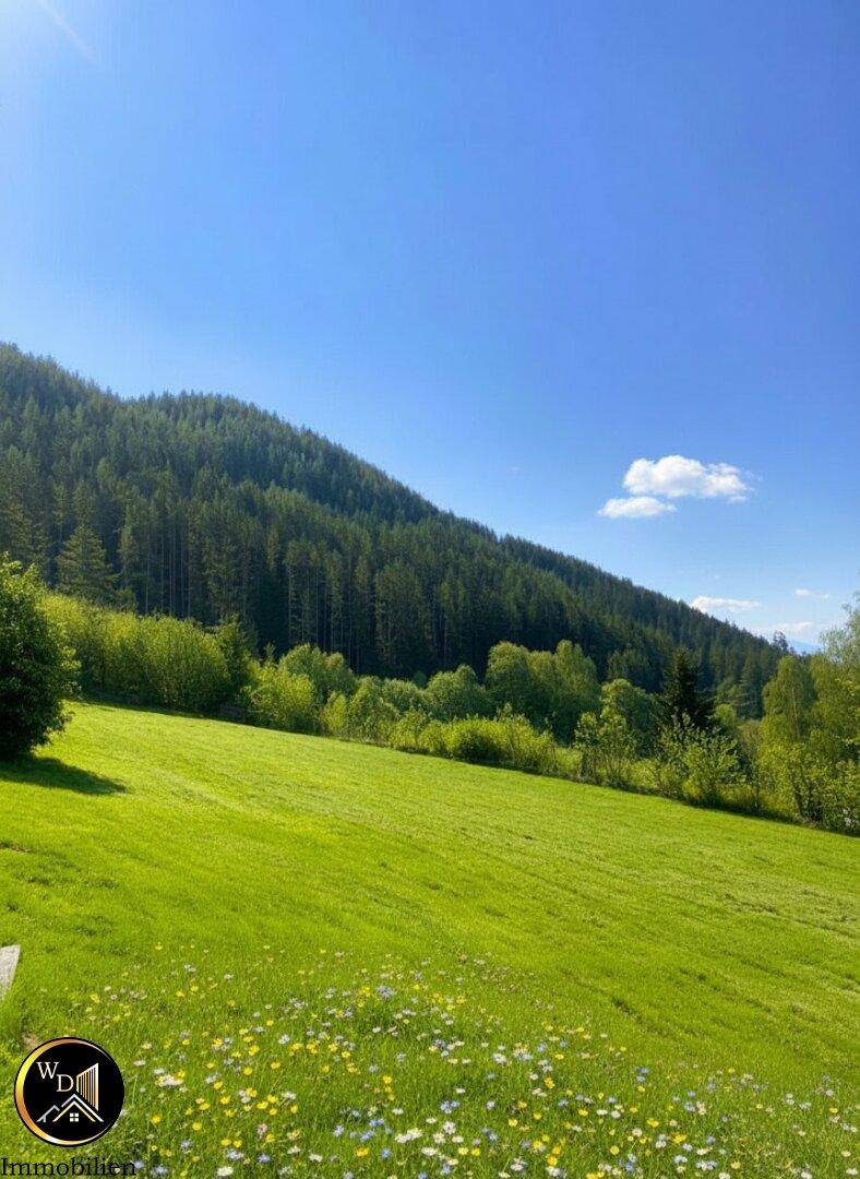 Weitläufige grüne Wiesen und dichte Wälder erstrecken sich über die sanften Hügel unter strahlend blauem Himmel.