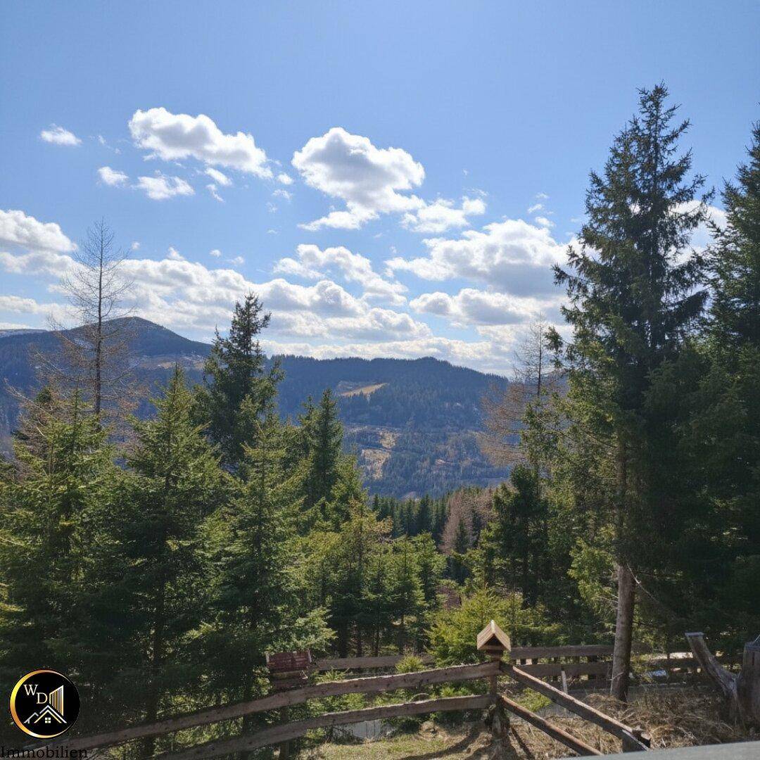 Malerischer Panoramablick auf die Berglandschaft mit dichten Nadelwäldern unter blauem Himmel.