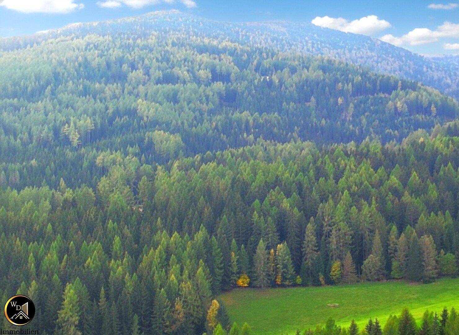 Alpenrefugium auf 1.200 m Seehöhe – ein Ort, wo die Zeit stehen bleibt und der Blick in die Berge verzaubert.“ - Ansicht 4