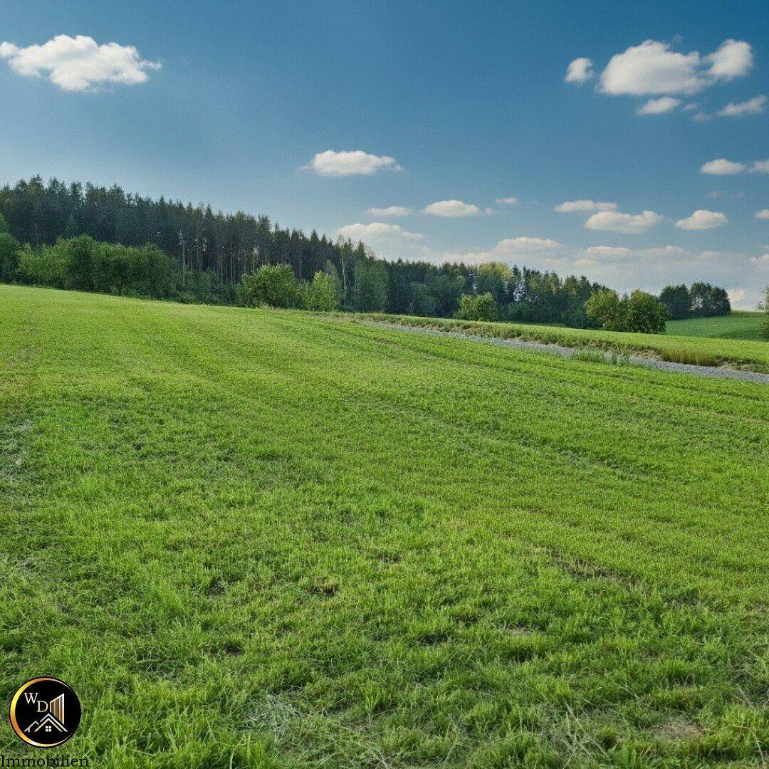 Ihr Platz an der Sonne: Exponierte Aussichtslage eingebettet in traumhafter idyllischer Wiesenlandschaft - Ansicht 2