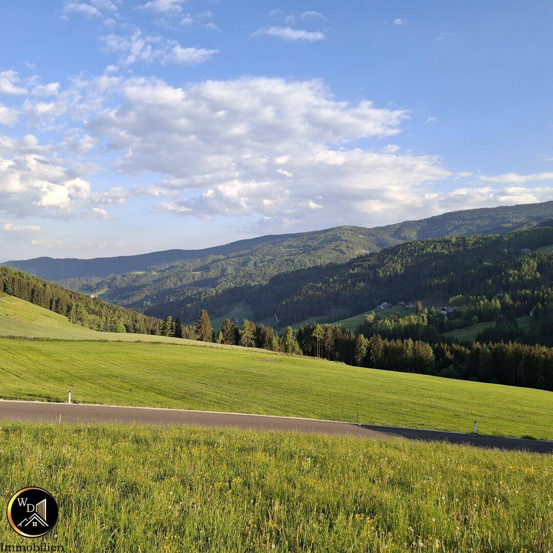 Weitläufige grüne Hügellandschaft mit bewaldeten Bergen unter einem blauen Himmel.