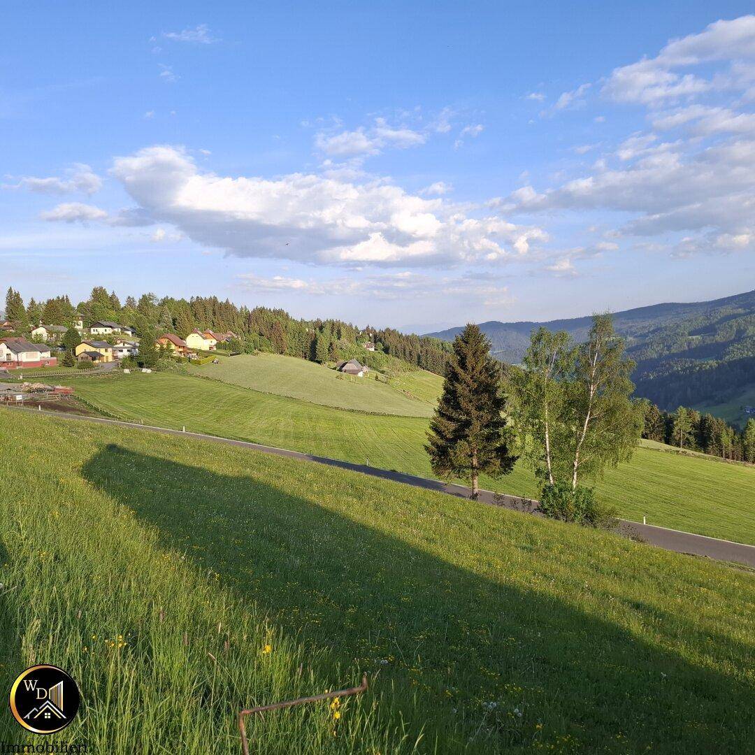 Idyllische Landschaft mit grünen Wiesen, vereinzelten Häusern und bewaldeten Bergen im Hintergrund.