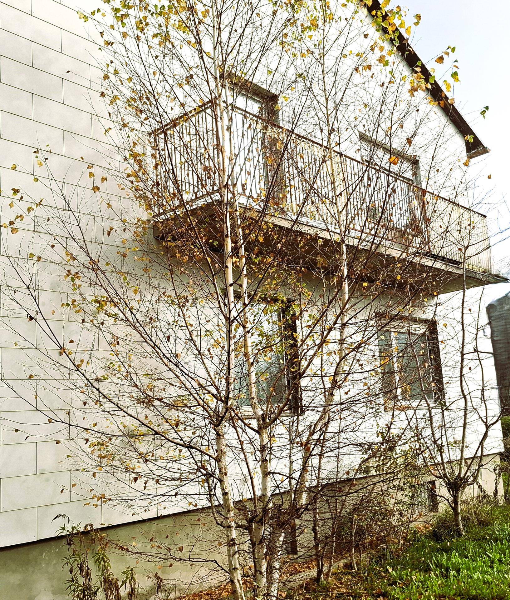 Trofaiach Aussenansicht Balkon sonne - Kopie