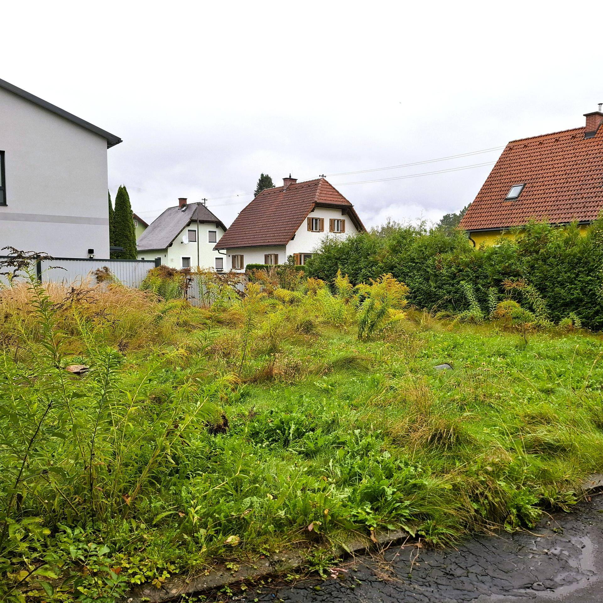 Gartenstrasse 10 Garten