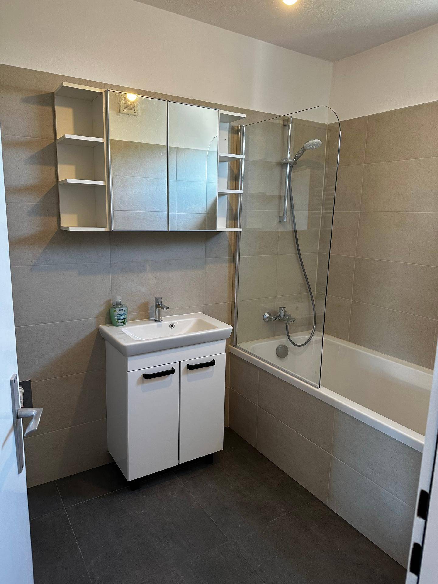 Modernes Badezimmer mit Badewanne, Duschwand, Einzelwaschbecken und Spiegelschrank.