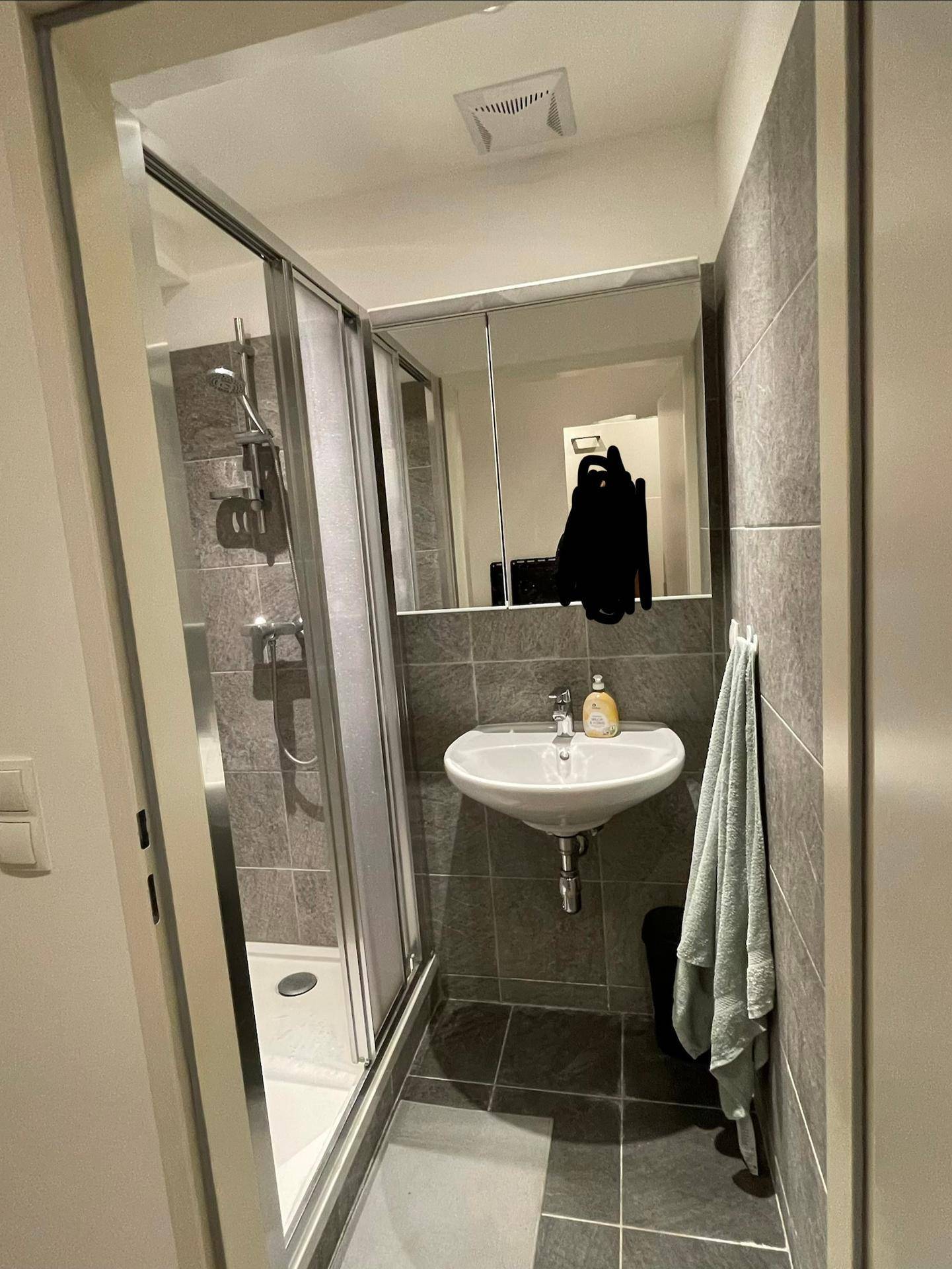 Modernes Badezimmer mit Duschkabine, Waschbecken und Spiegelschrank, ausgestattet mit grauen Fliesen.