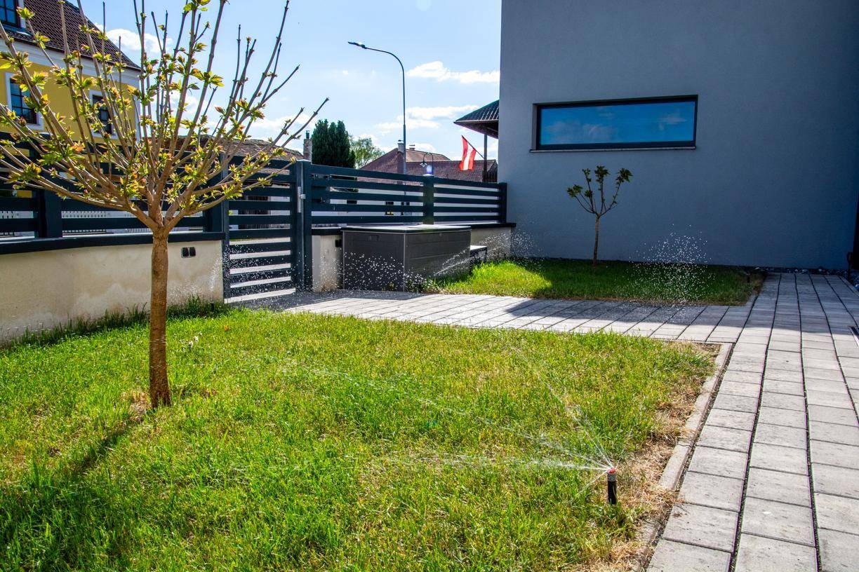 Vorgarten mit Rasen, Sprinklern, einem jungen Baum und gepflastertem Weg zum Hauseingang.