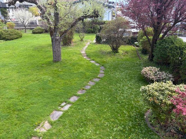 Gepflegter Garten mit Rasenfläche, Bäumen und einem Steinweg, der durch das Grün führt.