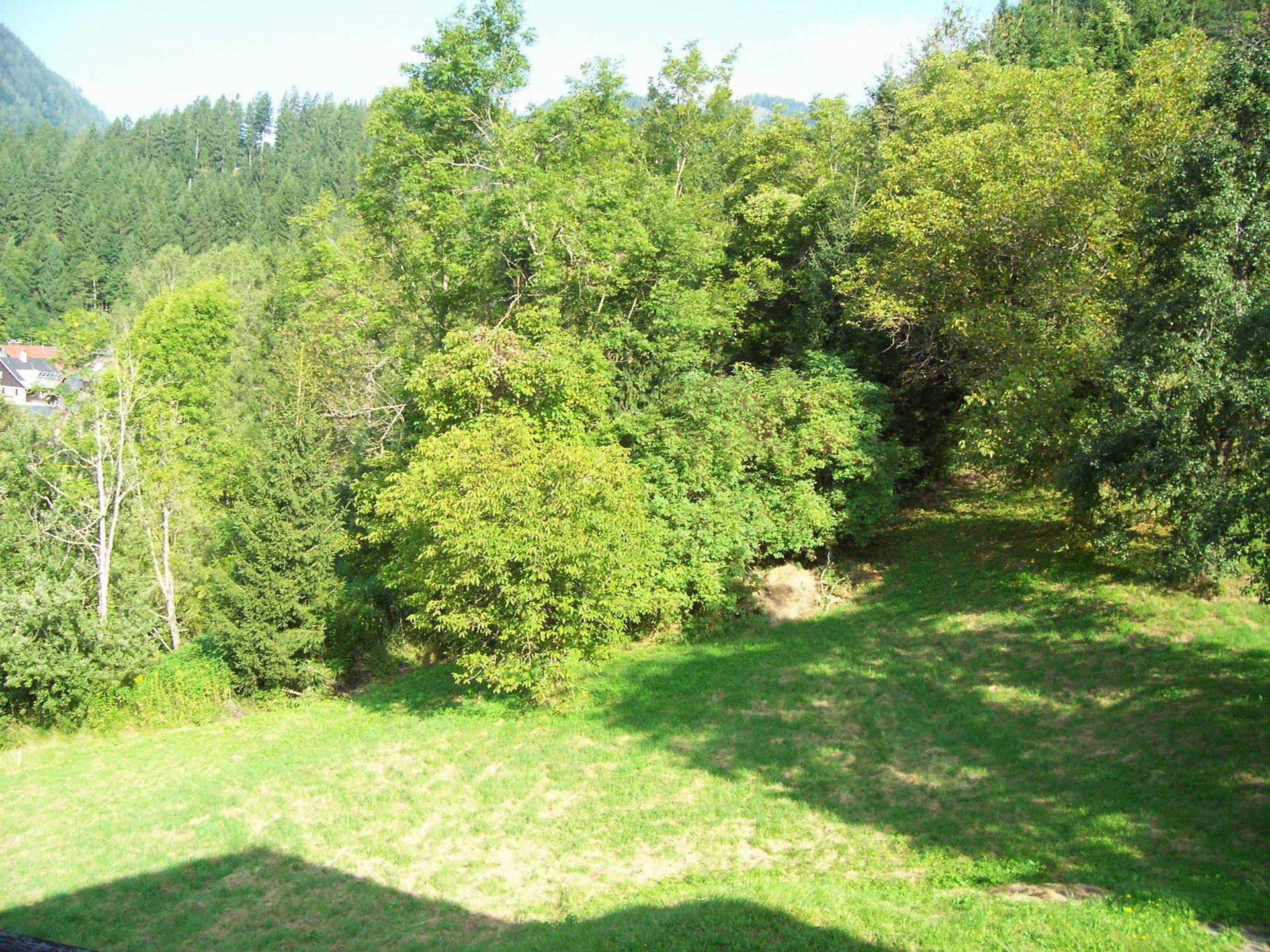 Großer, gepflegter Gartenbereich mit Rasenfläche und vielen Bäumen im Hintergrund.