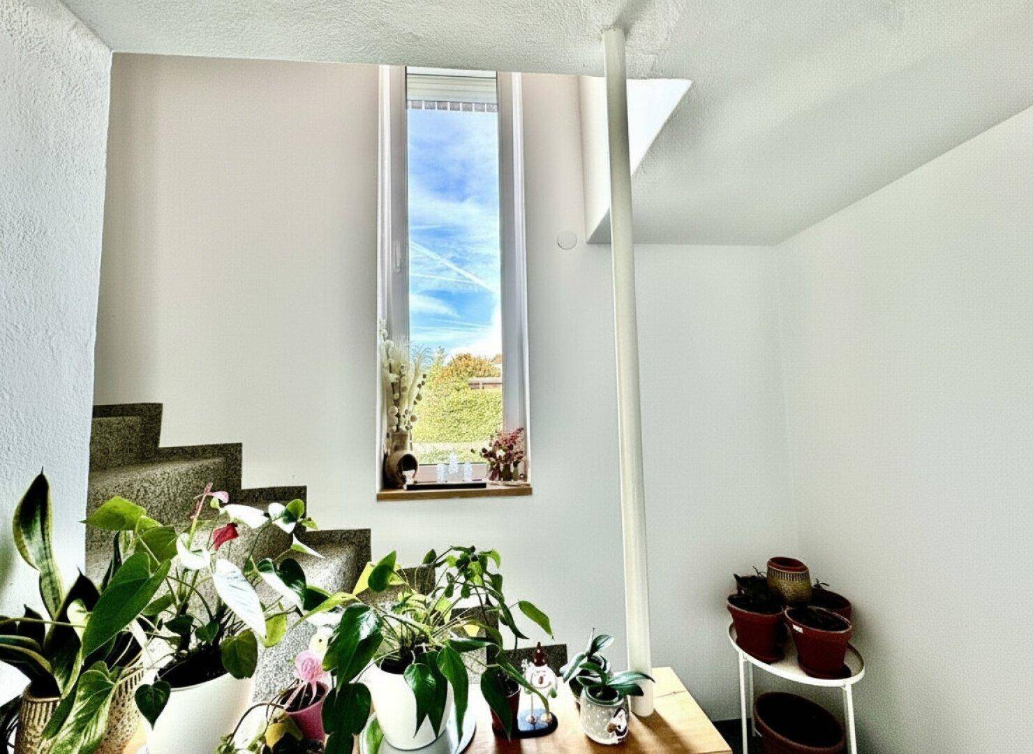 Treppenbereich mit vielen Pflanzen und einem hohen, schmalen Fenster, das den Raum erhellt.
