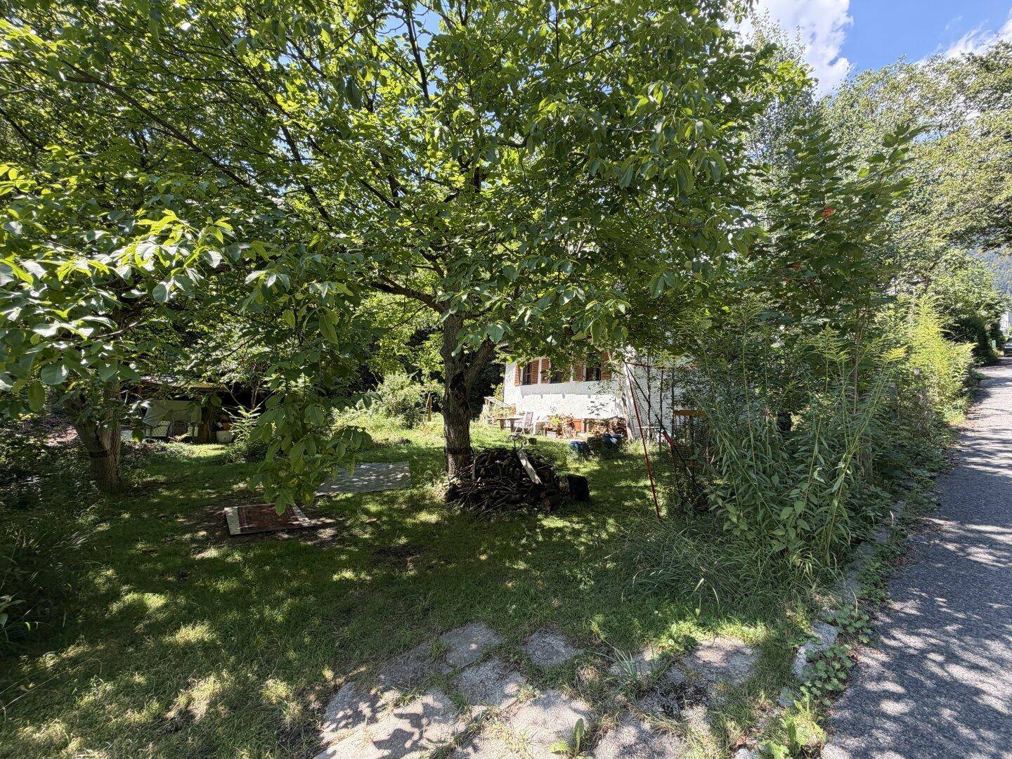 Gartenbereich mit einem großen Baum, Rasenfläche und einem älteren Gebäude, das im Hintergrund sichtbar ist.