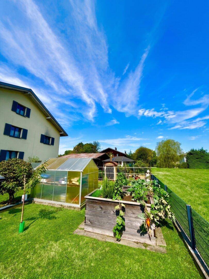Gartenbereich mit Gewächshaus, Hochbeet für Gemüseanbau und weitem Rasen unter blauem Himmel.