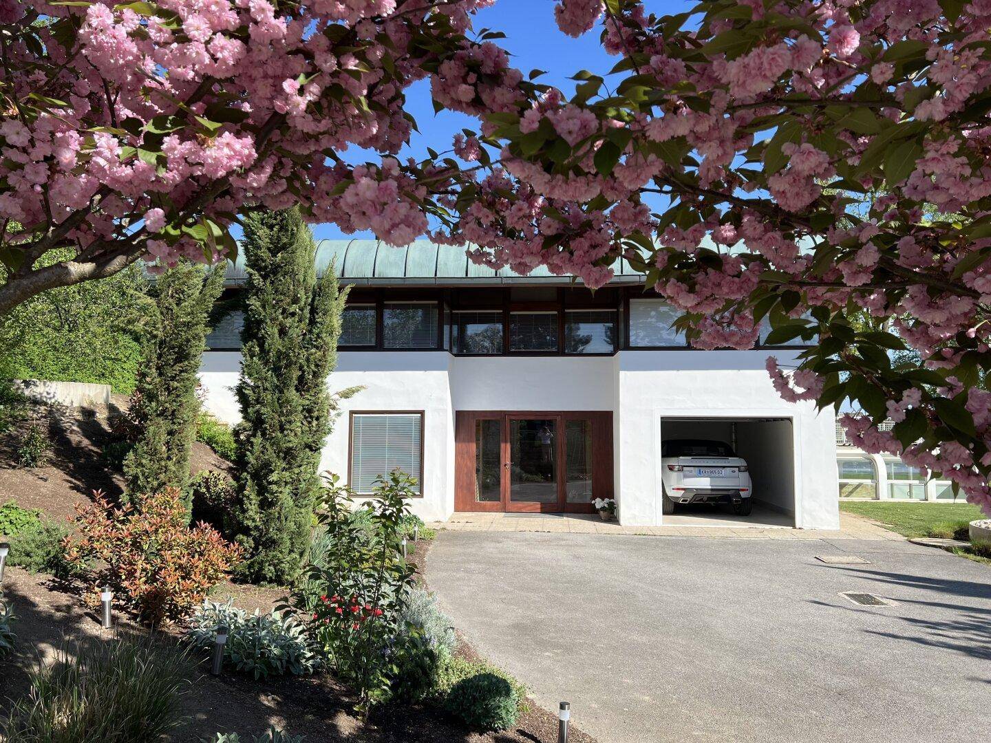 Eingangstür zu Haus Wittmann umgeben von Kirschblüten