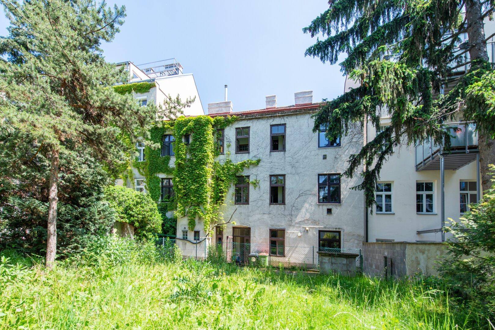 Rückseite eines Gebäudes mit üppigem Grün, Efeu an der Fassade und einem verwilderten Gartenbereich.