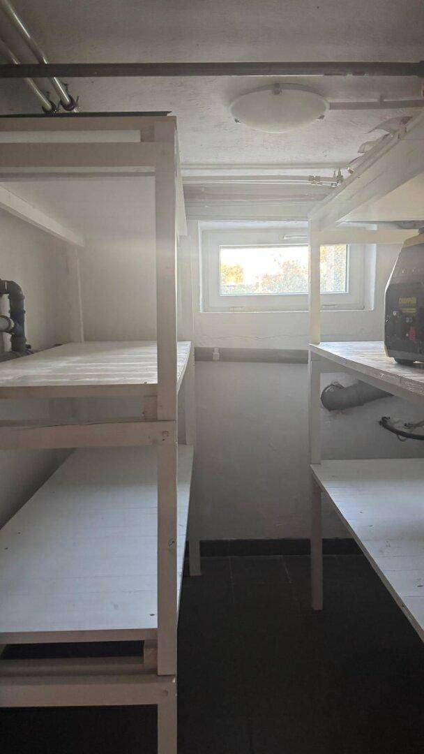 Kellerraum mit Regalen für Lagerung und einem kleinen Fenster für Belüftung und Tageslicht.