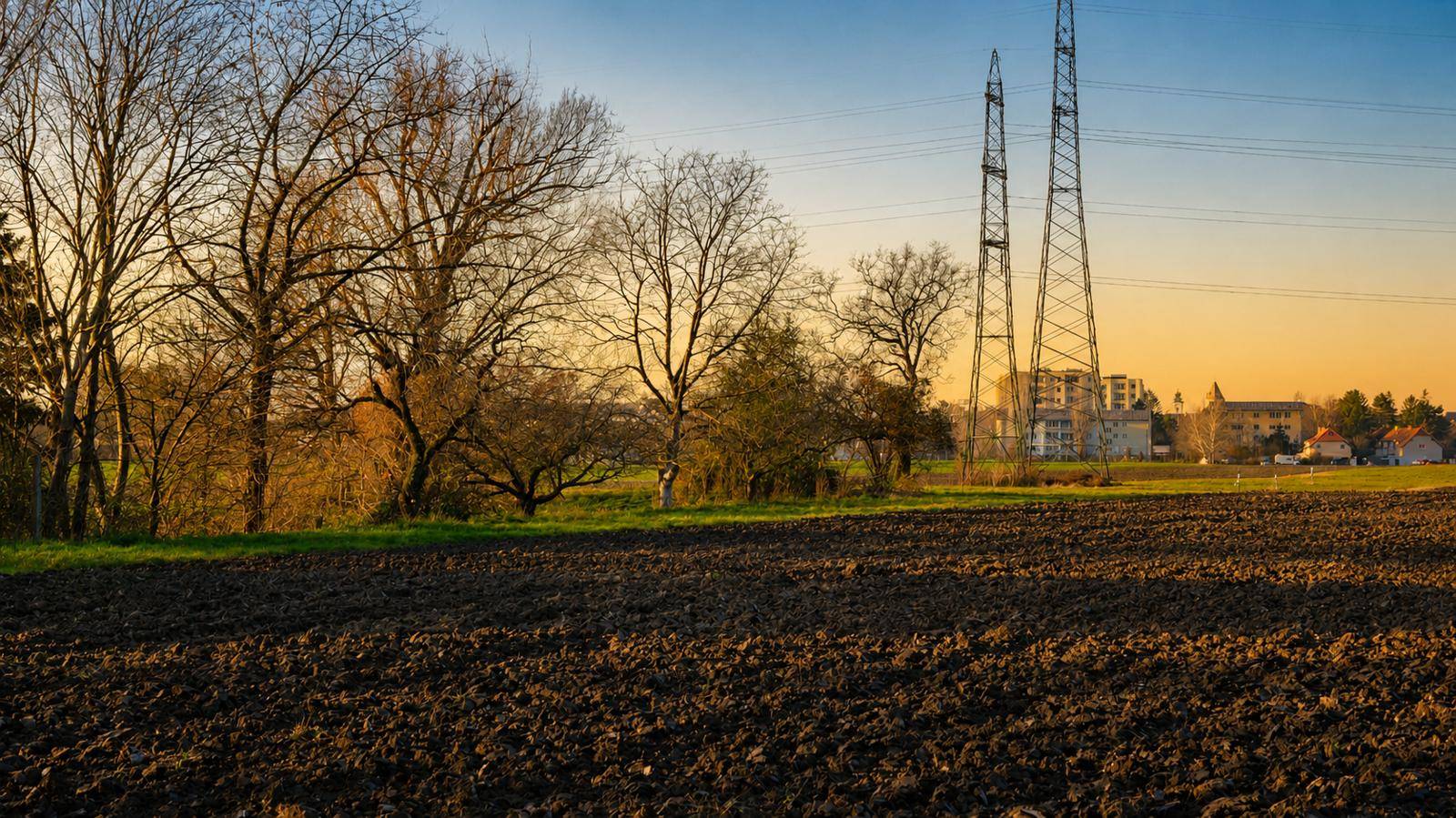 Ackerlandschaft mit Bäumen und Strommasten im Abendlicht, im Hintergrund sind Gebäude sichtbar.