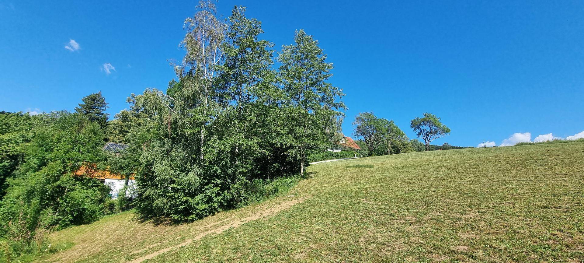 Sonnige, hügelige Wiesenlandschaft mit Bäumen und einem Gebäude in der Ferne.