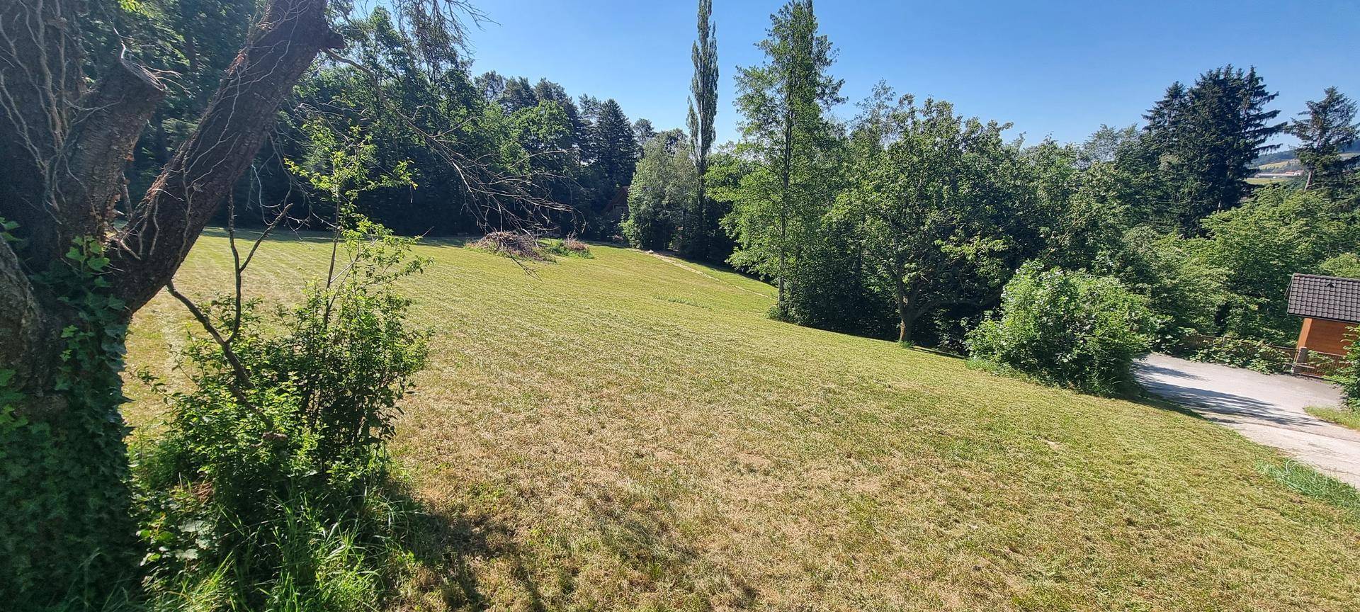 Abfallende Wiesenfläche mit Bäumen und Blick auf die umliegende grüne Landschaft.