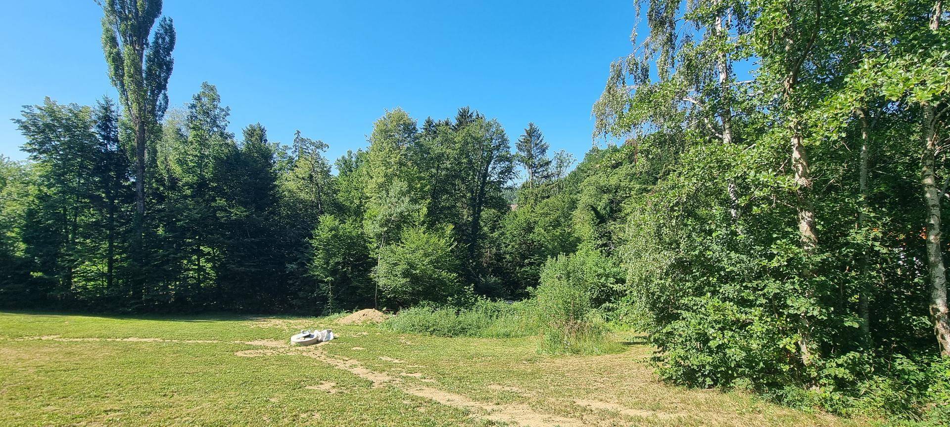 Grüne Wiesenlandschaft mit Waldrand und einem weißen Objekt im Vordergrund.