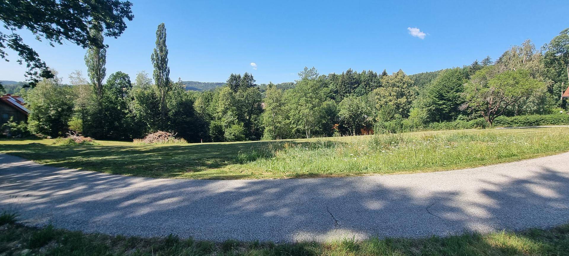 Weitläufige Grünfläche mit Bäumen und einem Feldweg unter blauem Himmel.