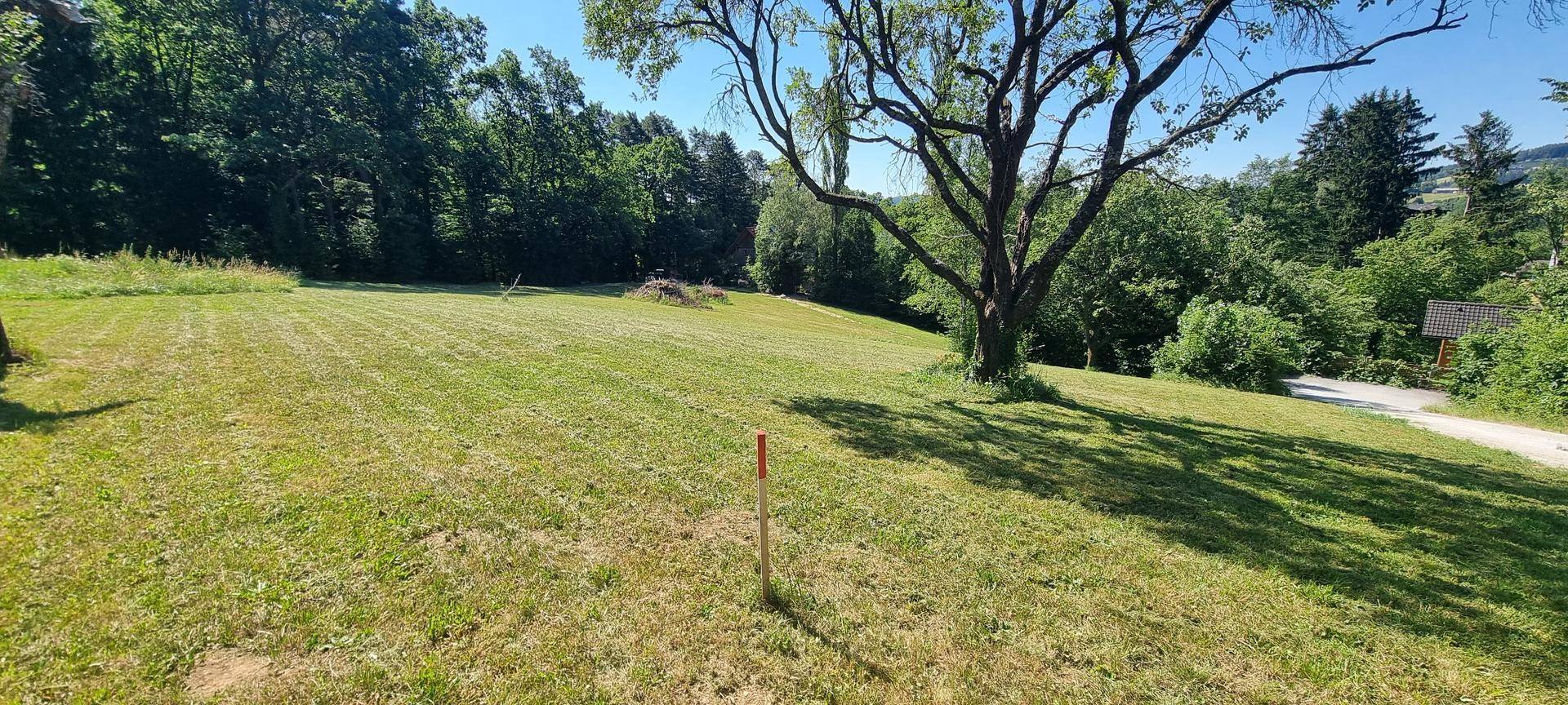Sonnige Wiesenlandschaft mit Bäumen und einem roten Markierungspfahl, umgeben von Natur.
