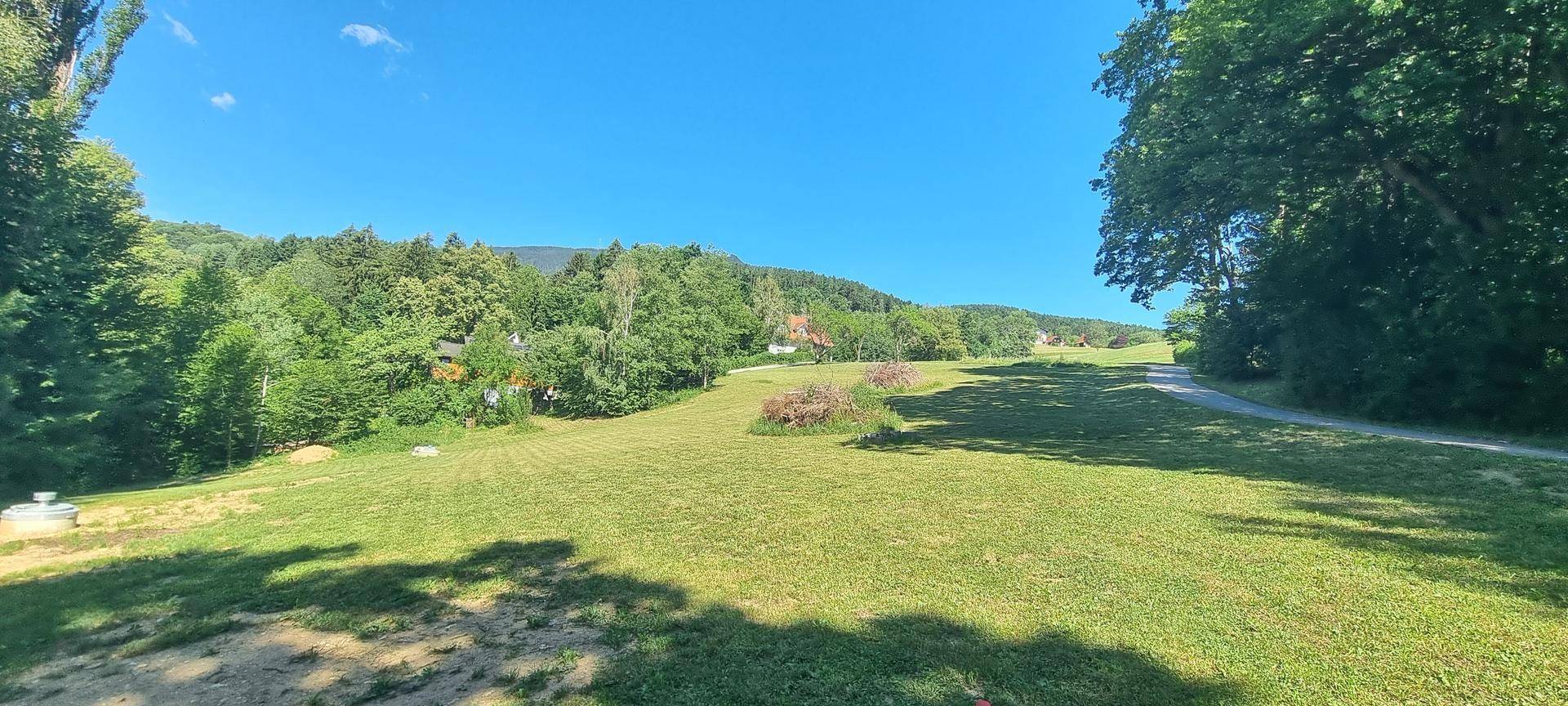 Weitläufige grüne Wiesenlandschaft mit Bäumen und Häusern in der Ferne.