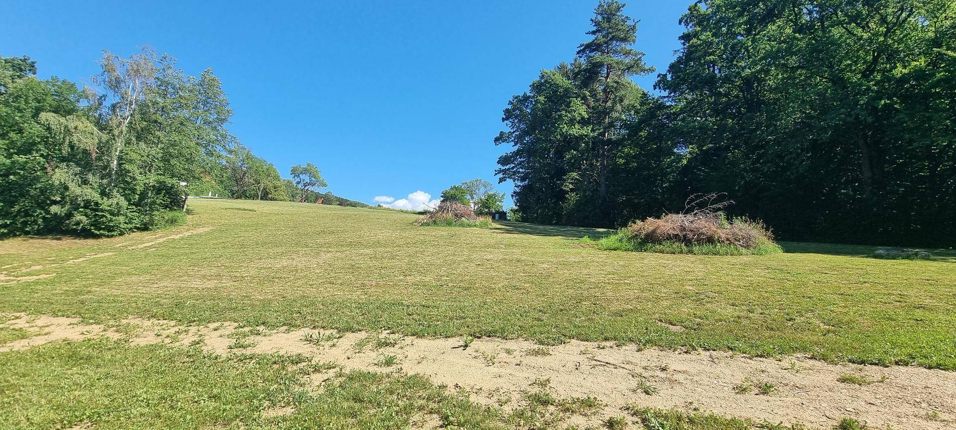 Sonnige Wiesenlandschaft mit leichtem Gefälle und aufgeschichteten Ästen.