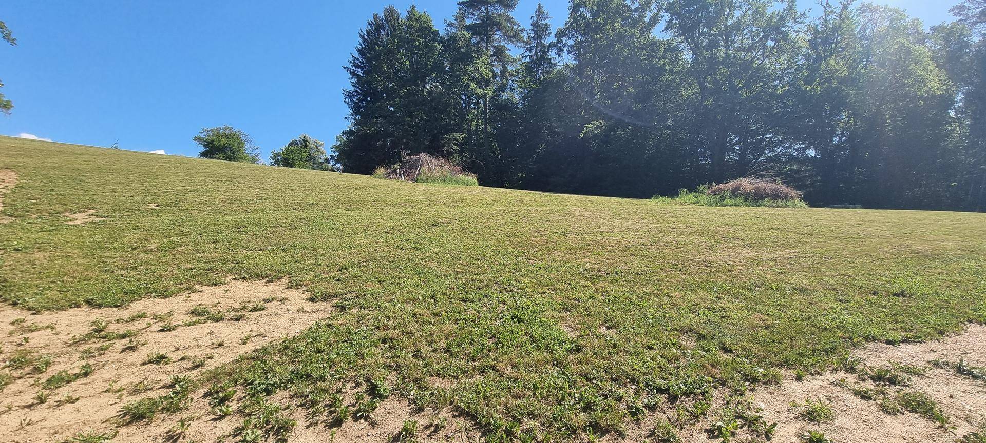 Weitläufige, leicht abfallende Wiesenfläche mit trockenen Stellen unter blauem Himmel.