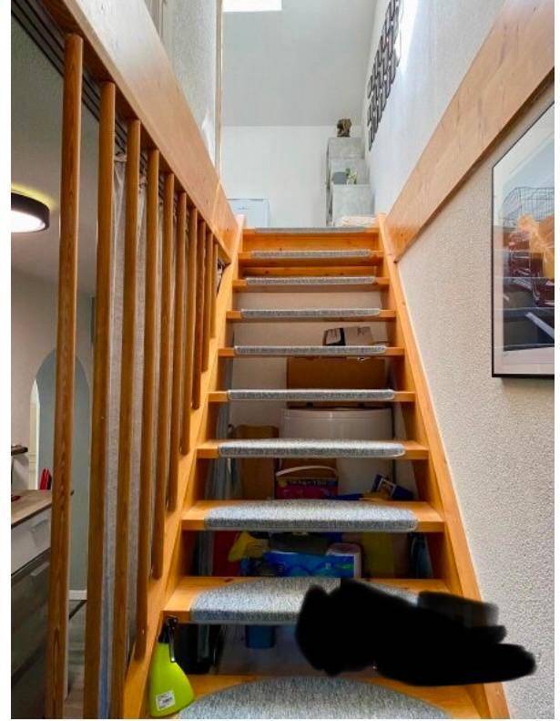 Holztreppe mit Teppichstufen und natürlichem Lichteinfall von oben.