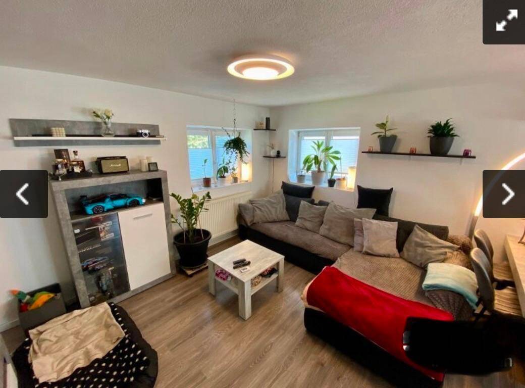 Helles Wohnzimmer mit bequemer Couch, Regalen und Pflanzen an den Fenstern.