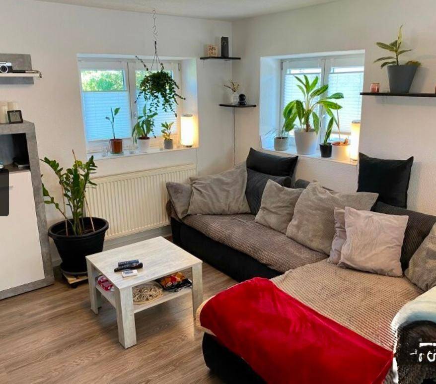 Gemütliches Wohnzimmer mit Sofa, vielen Pflanzen und natürlichem Lichteinfall.