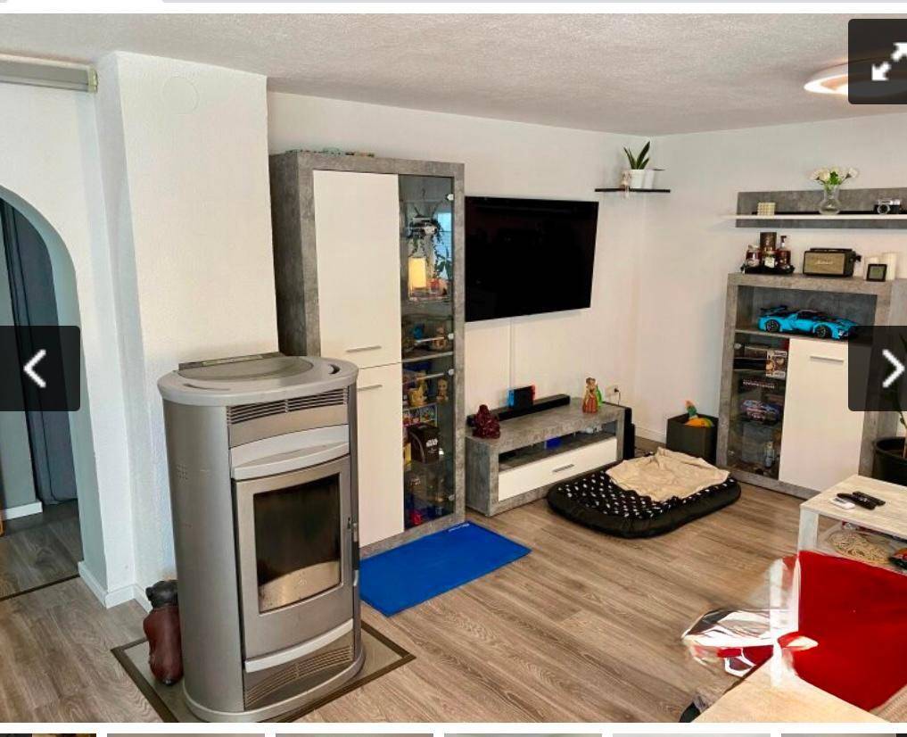Wohnzimmer mit modernem Kaminofen, TV-Bereich und Regalsystem.