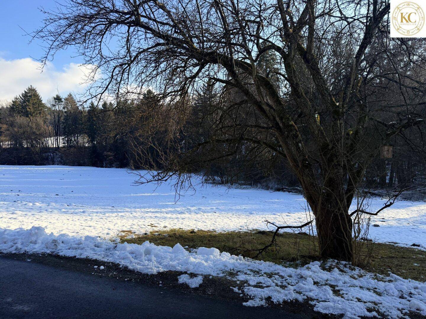 Winterlandschaft mit verschneitem Feld, kahlem Baum im Vordergrund und bewaldeten Hügeln.