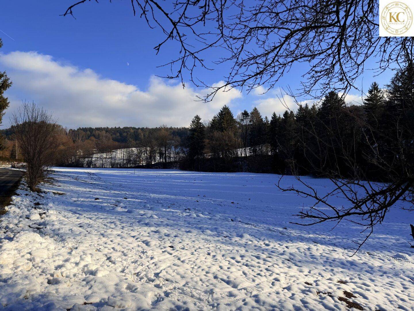 Weite, verschneite Landschaft unter blauem Himmel mit Waldrand und einem Feldweg.