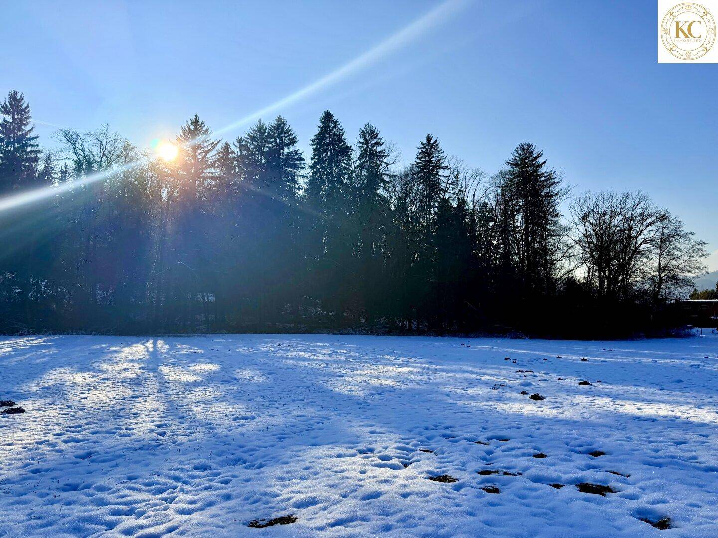 Sonnige Winterlandschaft mit verschneitem Feld und dunklem Wald im Hintergrund unter klarem Himmel.