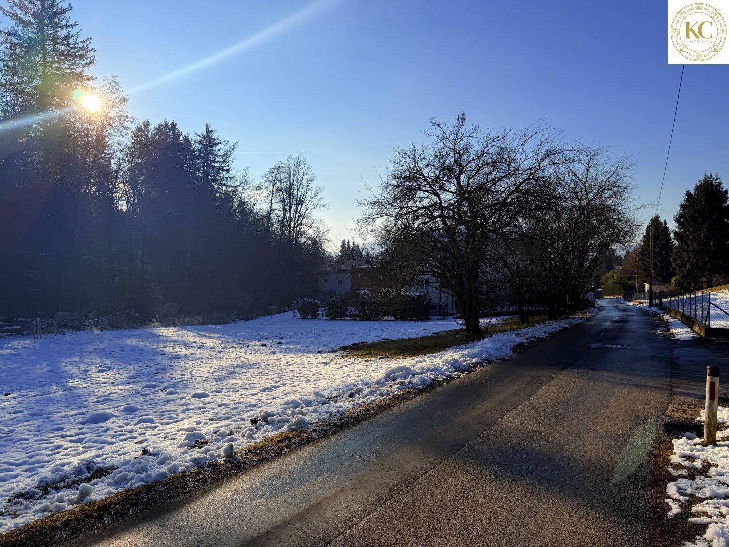Ländliche Straße neben einem verschneiten Feld mit kahlen Bäumen und Häusern in der Ferne.