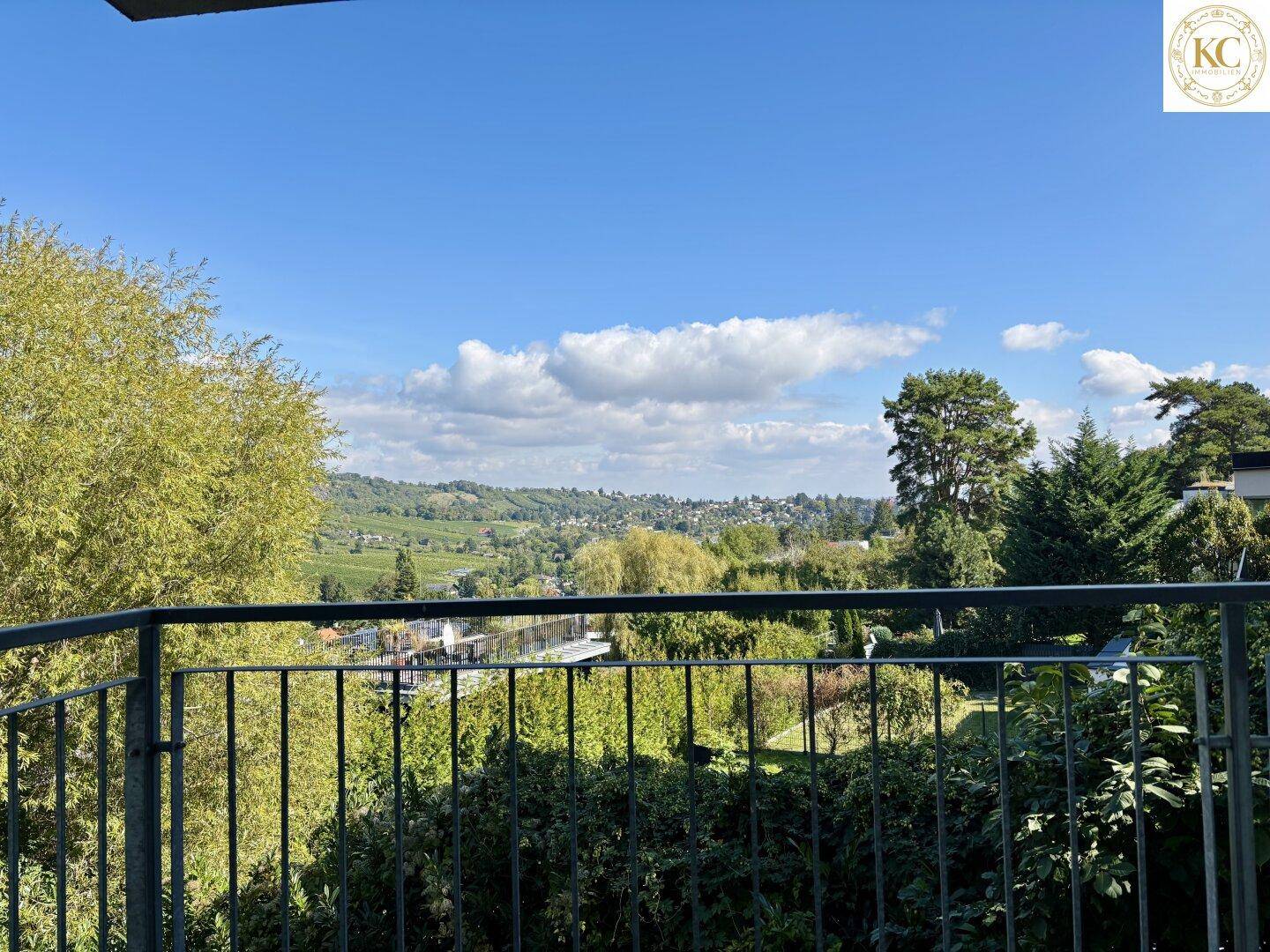 Panoramablick vom Balkon auf die üppige grüne Umgebung und die sanften Hügel in der Ferne.