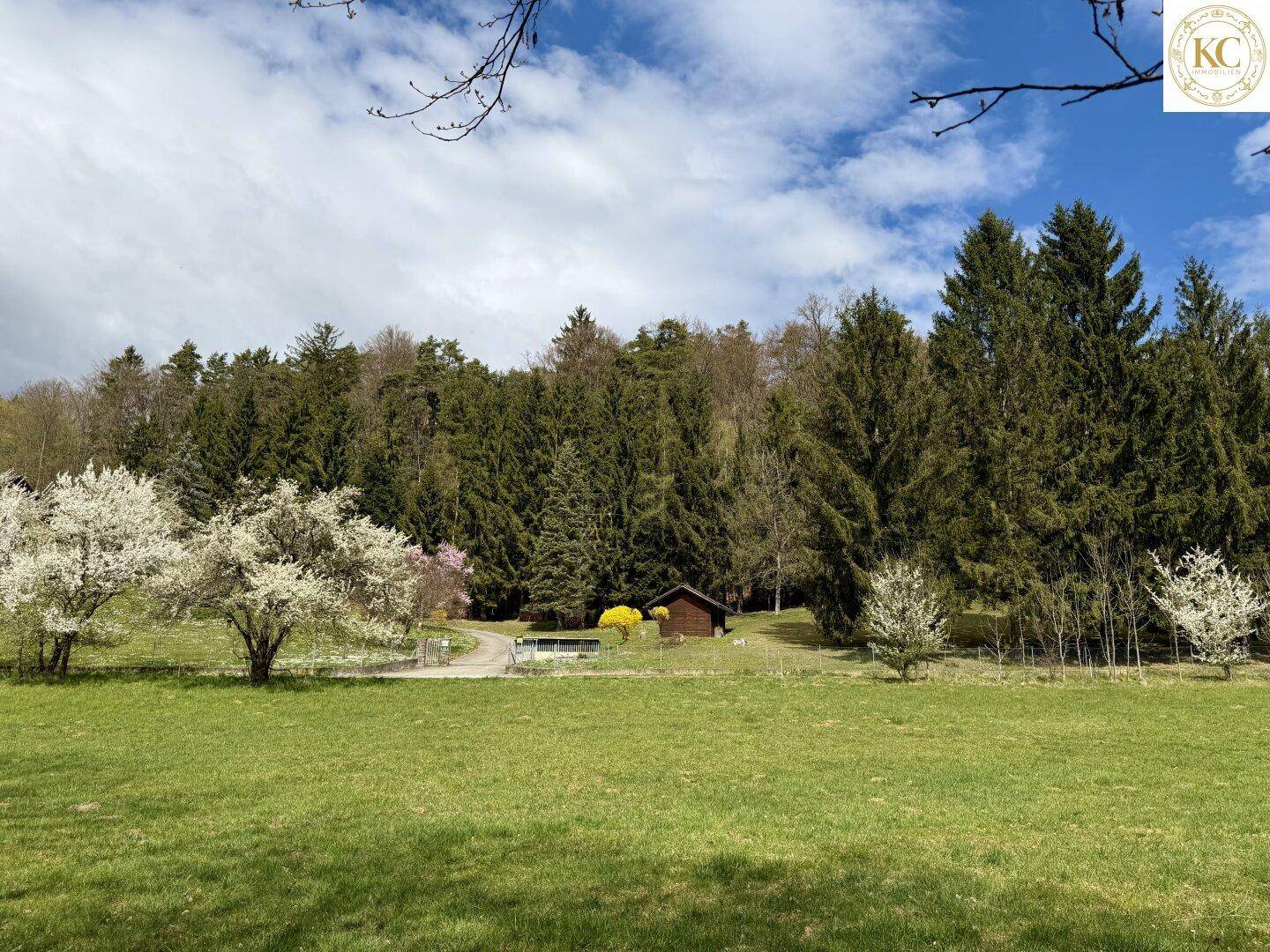 Weitläufige grüne Wiese vor einem dichten Wald mit einer kleinen Holzhütte.