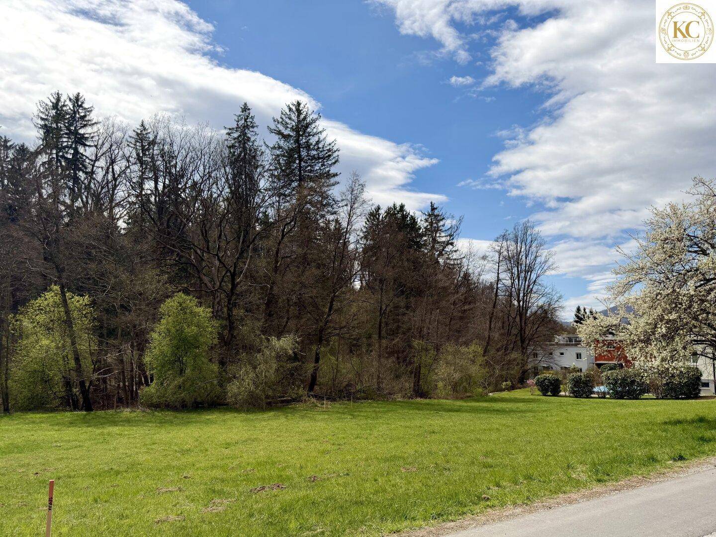 Idyllische Landschaft mit grüner Wiese, dichtem Wald und Häusern im Hintergrund.