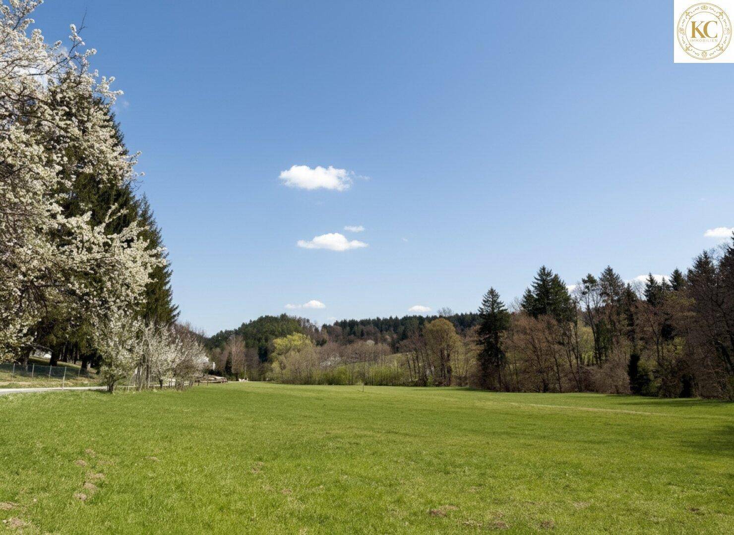 Weitläufige grüne Landschaft mit blühenden Bäumen und einem Wald unter blauem Himmel.
