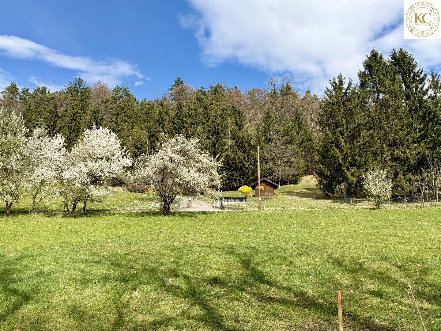 Eine grüne Wiese mit blühenden Bäumen und einem kleinen Holzhaus am Waldrand.